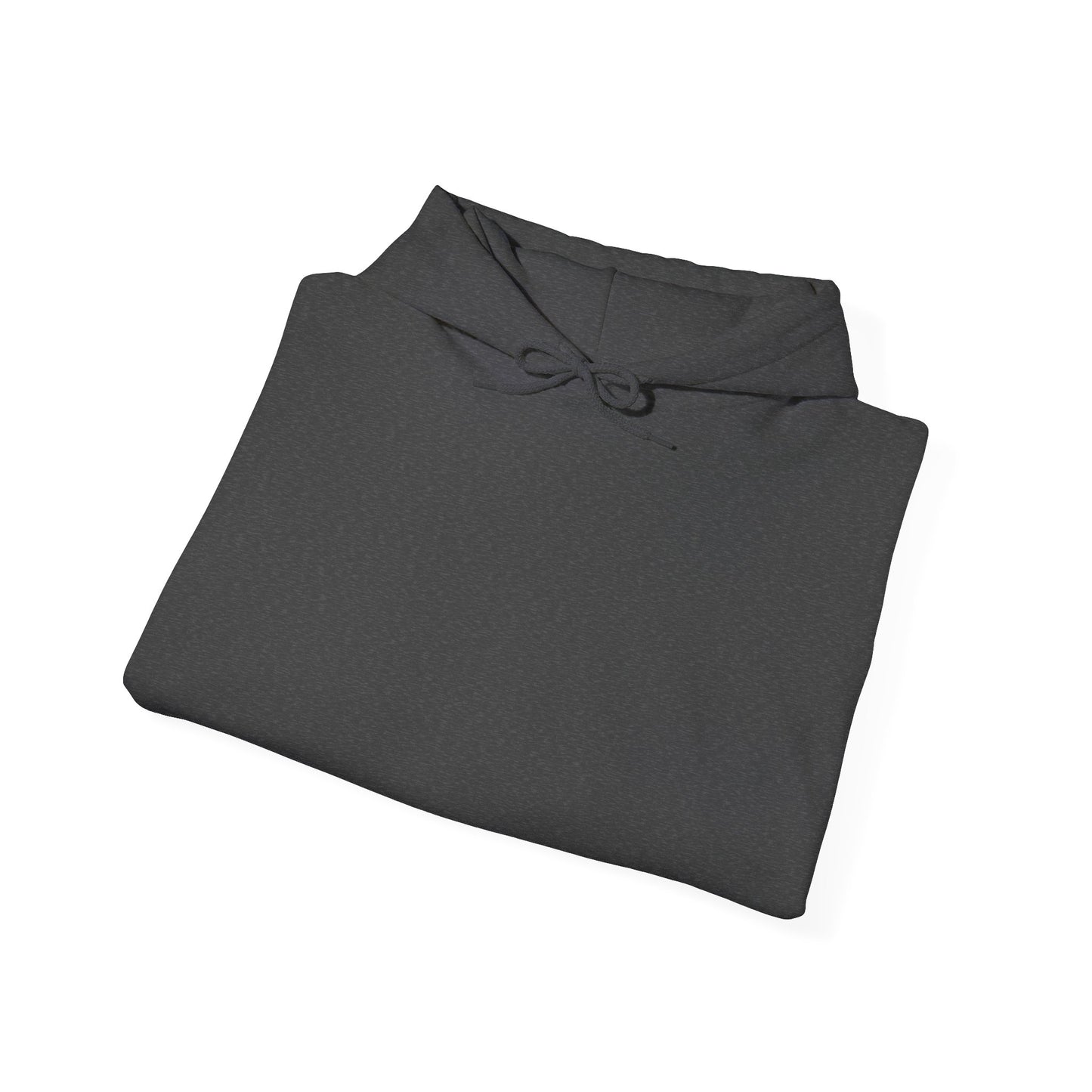 Chaos-Driven Hoodie – Built with Zip Ties, Driven by Chaos | Jayson’s Garage