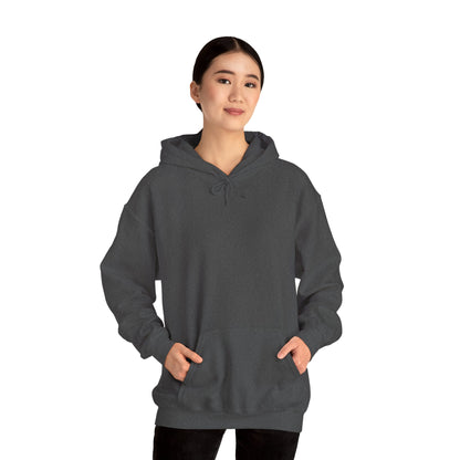 My Toolbox Is My Retirement Plan Hoodie