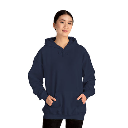 My Toolbox Is My Retirement Plan Hoodie