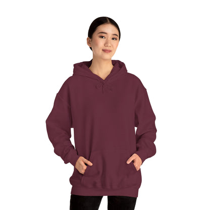 My Toolbox Is My Retirement Plan Hoodie