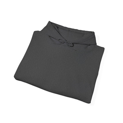 Chaos-Driven Hoodie – Built with Zip Ties, Driven by Chaos | Jayson’s Garage