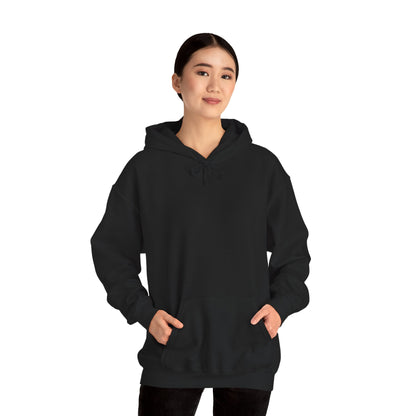 My Toolbox Is My Retirement Plan Hoodie